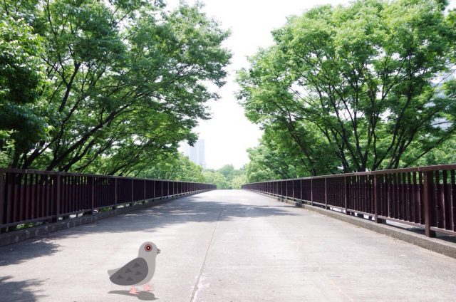 代々木公園の賃貸