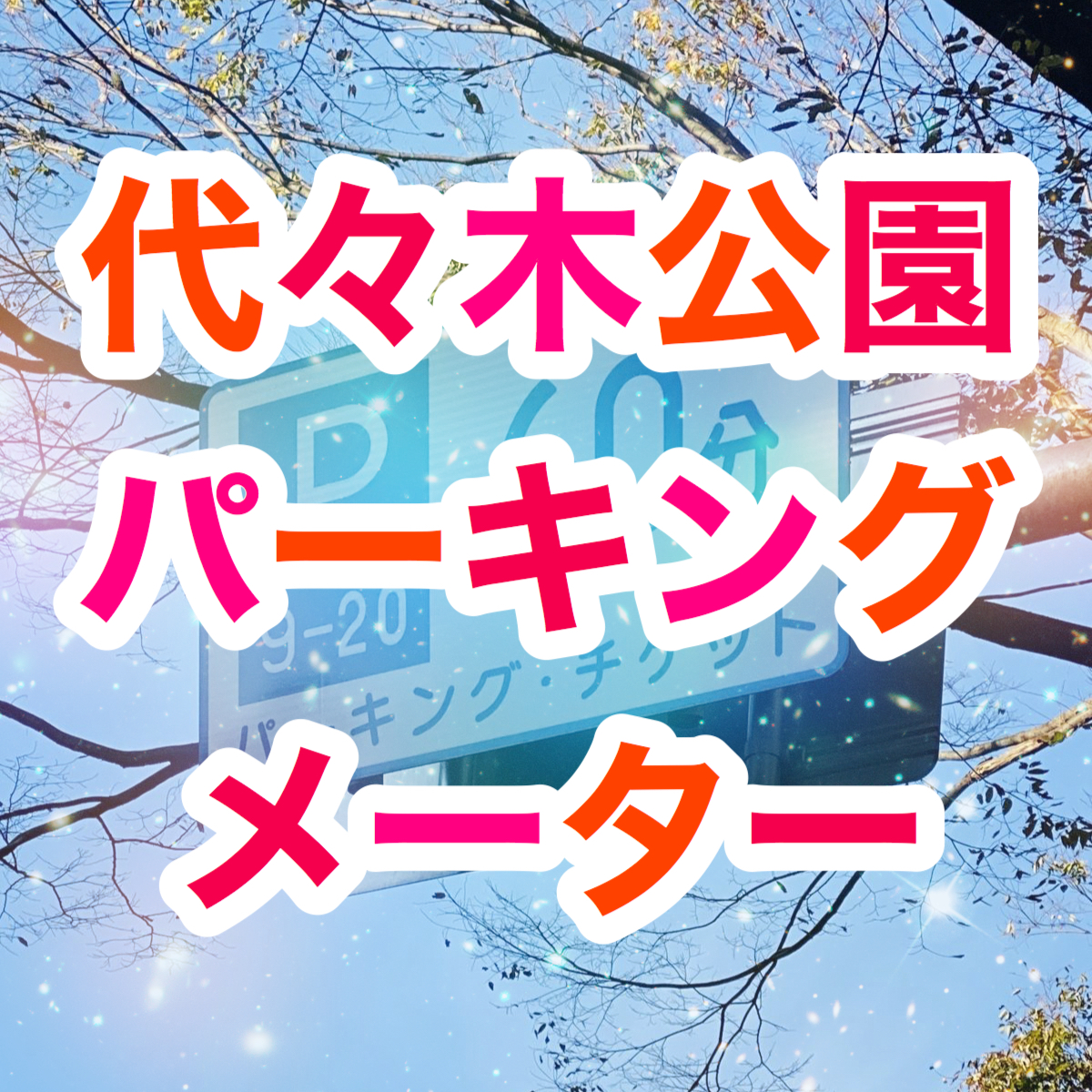 【駐車場】代々木公園のパーキング・メーター（路上駐車）