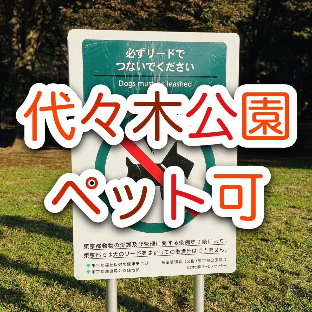 【賃貸】代々木公園の近くでペット可の賃貸マンションに住みたい！