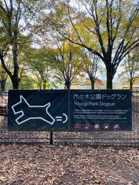 代々木 公園 賃貸 ペット 可