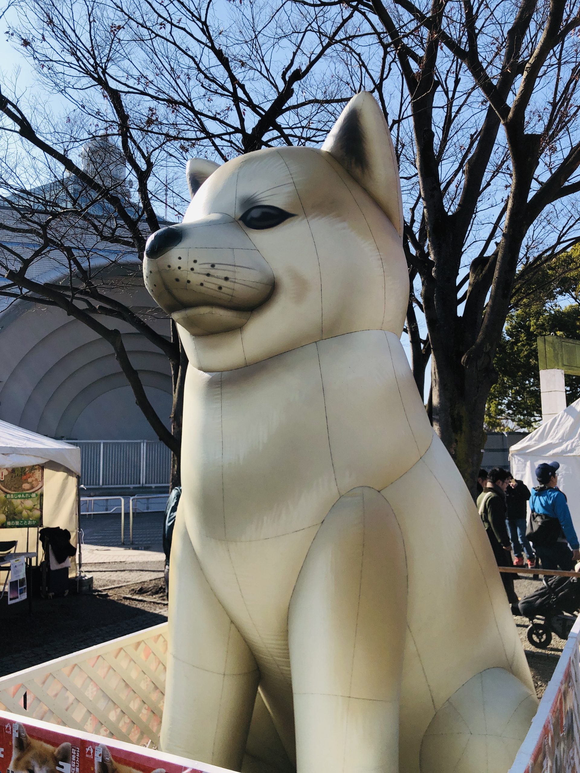 秋田県