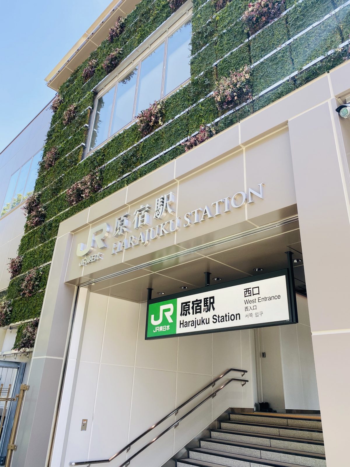 【アクセス】原宿駅(明治神宮前駅)から代々木公園イベント広場・野外ステージ・ケヤキ並木への行き方 代々木公園イベント&フェス2023情報 【アクセス】原宿駅(明治神宮前駅)から代々木公園イベント広場・野外ステージ・ケヤキ並木への行き方 代々木公園イベント&フェス2023情報