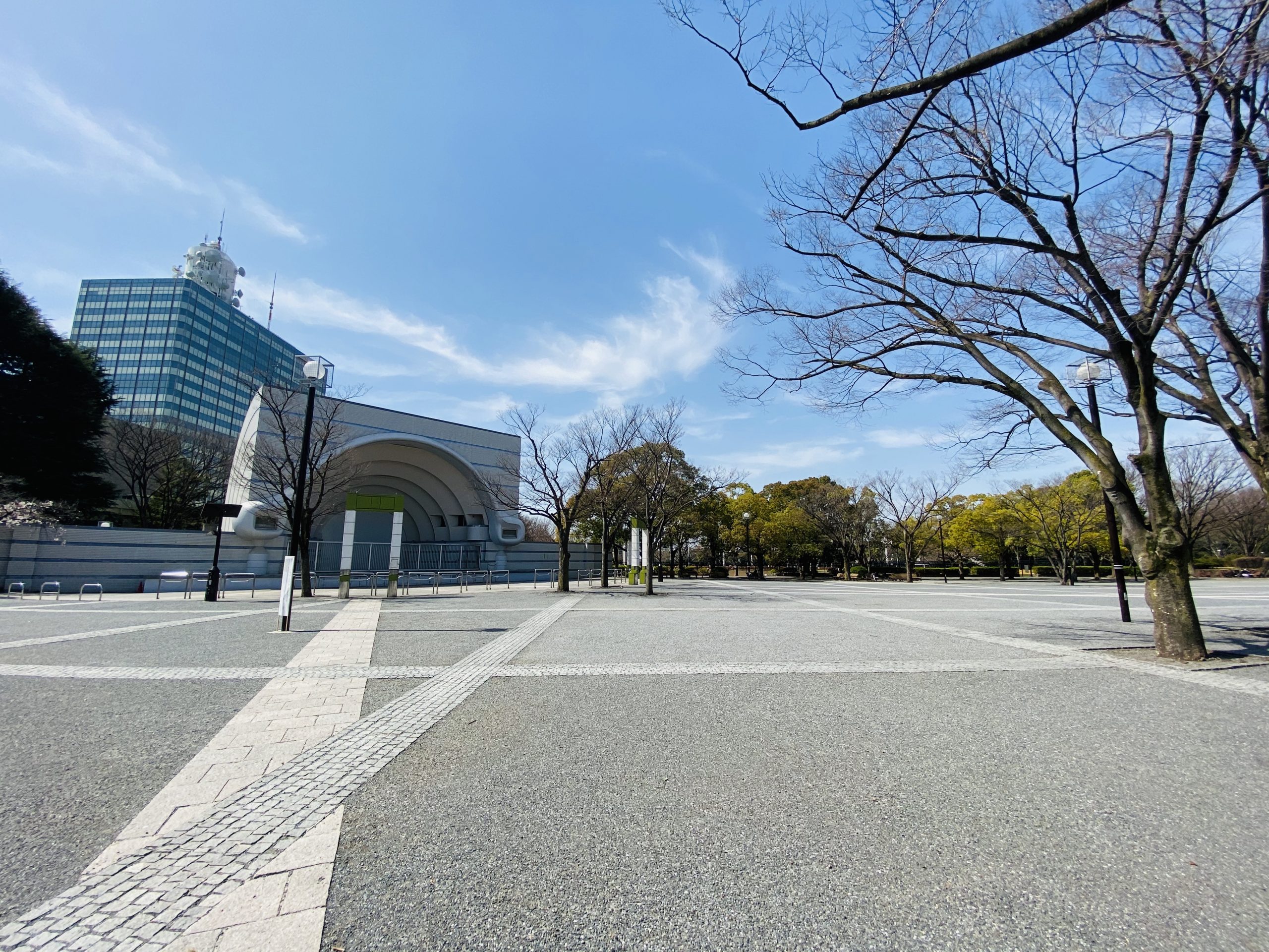 代々木公園の桜