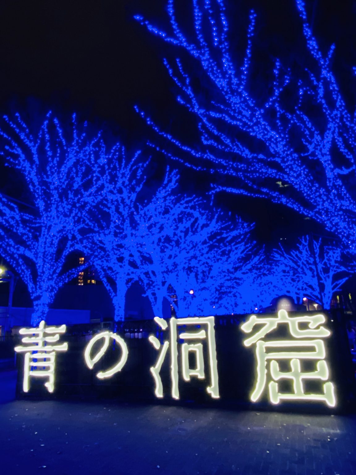 3年ぶりに開催！12月8（木）〜25（日）は代々木公園ケヤキ並木で青の洞窟 SHIBUYA 